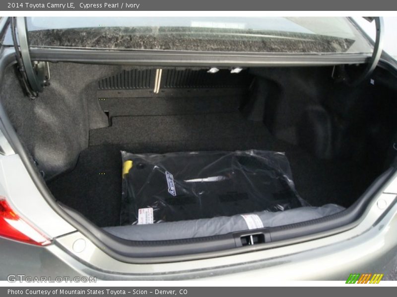 Cypress Pearl / Ivory 2014 Toyota Camry LE