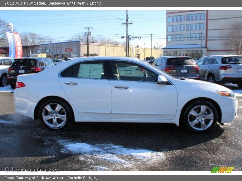 Bellanova White Pearl / Ebony 2012 Acura TSX Sedan