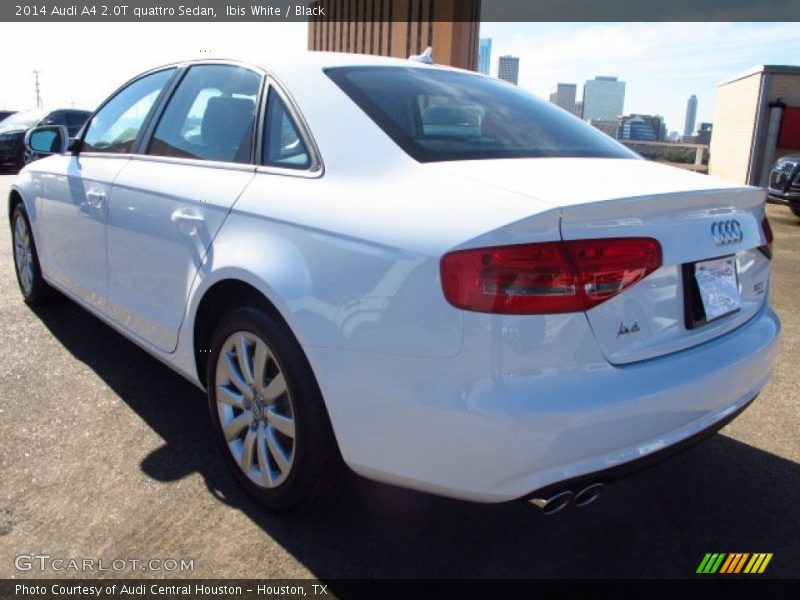 Ibis White / Black 2014 Audi A4 2.0T quattro Sedan