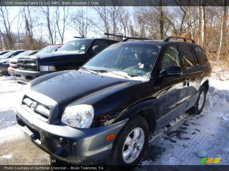 Black Obsidian / Gray 2005 Hyundai Santa Fe GLS 4WD