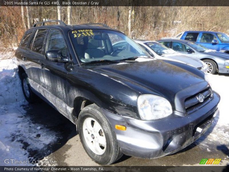 Black Obsidian / Gray 2005 Hyundai Santa Fe GLS 4WD