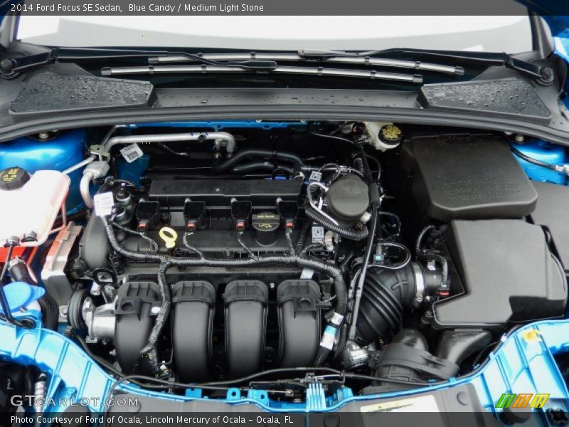 Blue Candy / Medium Light Stone 2014 Ford Focus SE Sedan