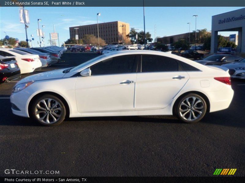 Pearl White / Black 2014 Hyundai Sonata SE