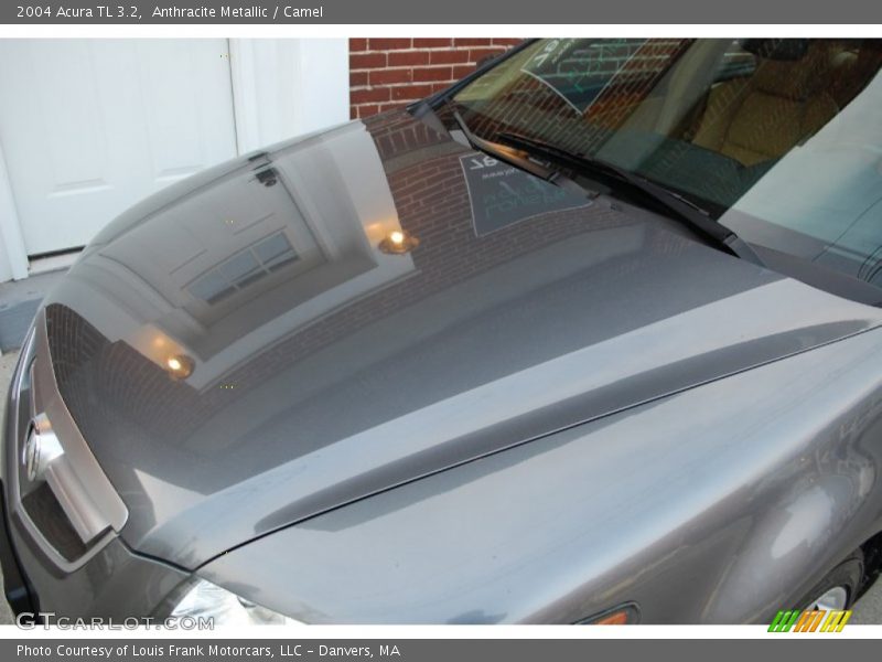 Anthracite Metallic / Camel 2004 Acura TL 3.2