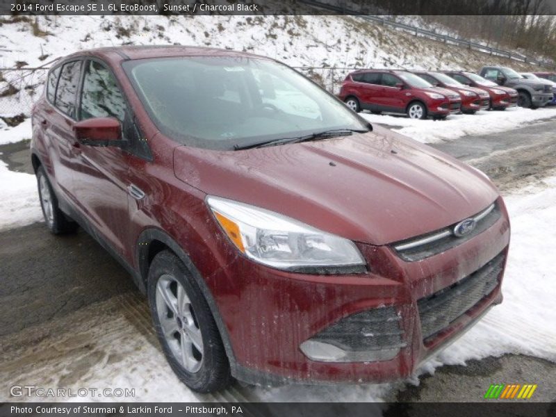 Sunset / Charcoal Black 2014 Ford Escape SE 1.6L EcoBoost