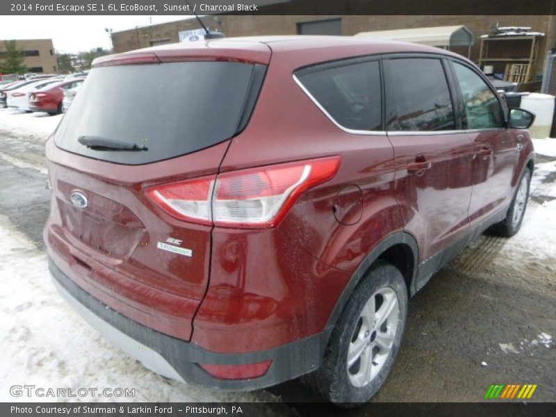 Sunset / Charcoal Black 2014 Ford Escape SE 1.6L EcoBoost