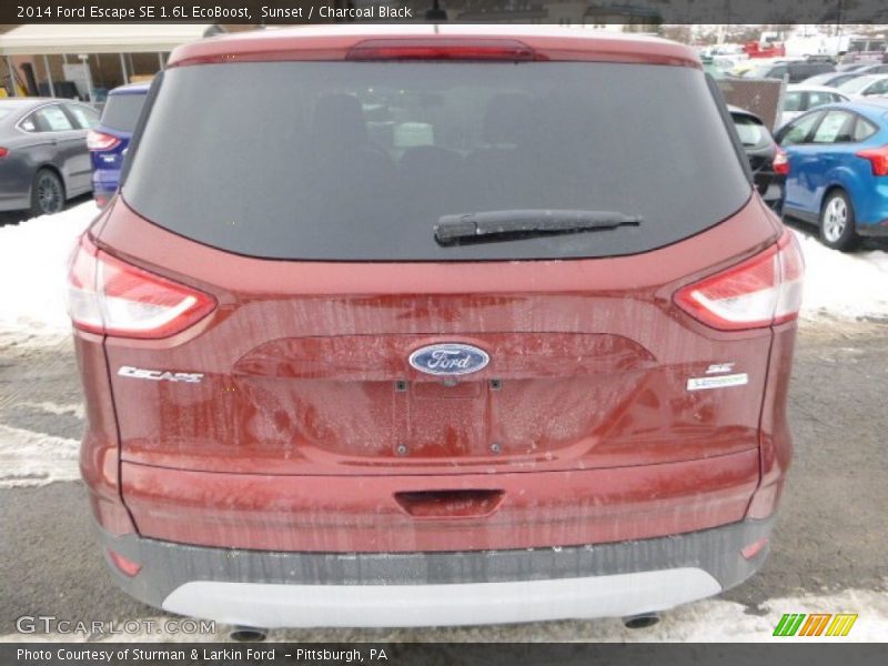 Sunset / Charcoal Black 2014 Ford Escape SE 1.6L EcoBoost