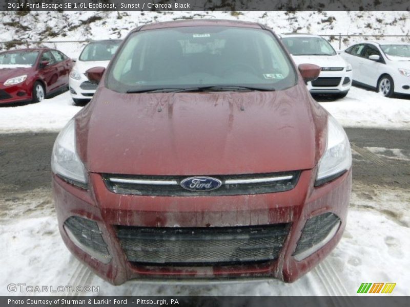 Sunset / Charcoal Black 2014 Ford Escape SE 1.6L EcoBoost