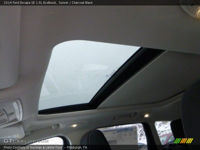 Sunset / Charcoal Black 2014 Ford Escape SE 1.6L EcoBoost