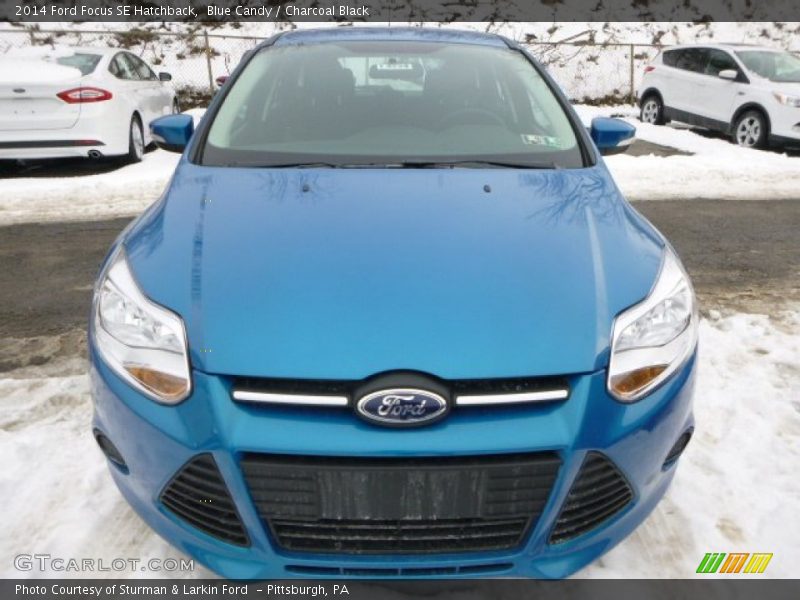 Blue Candy / Charcoal Black 2014 Ford Focus SE Hatchback