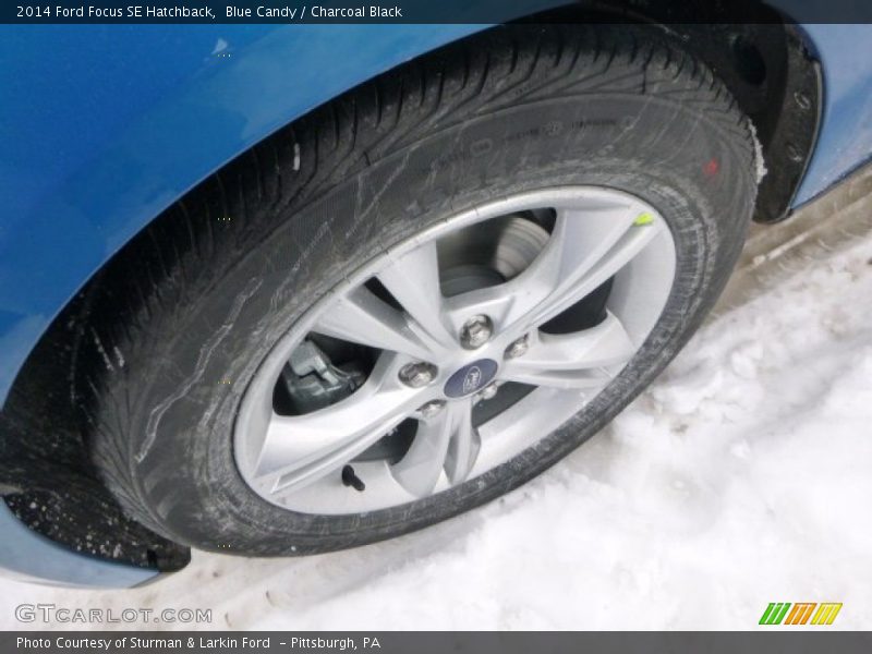 Blue Candy / Charcoal Black 2014 Ford Focus SE Hatchback