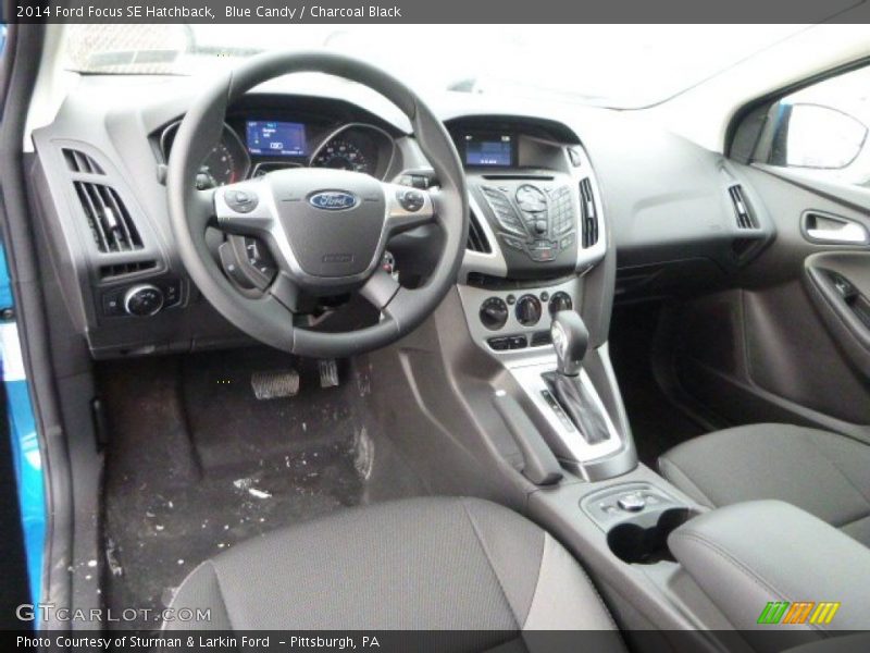 Blue Candy / Charcoal Black 2014 Ford Focus SE Hatchback