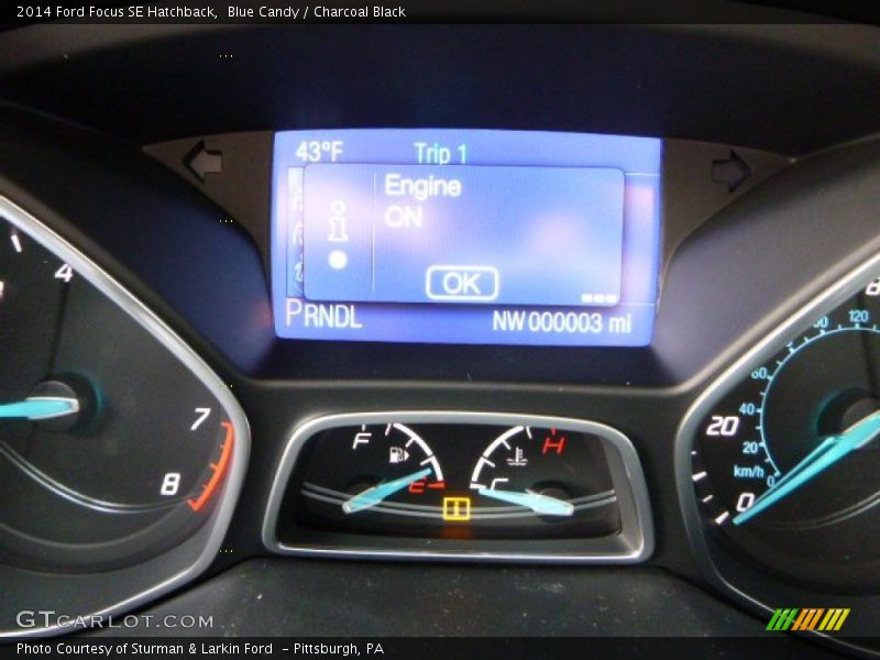 Blue Candy / Charcoal Black 2014 Ford Focus SE Hatchback