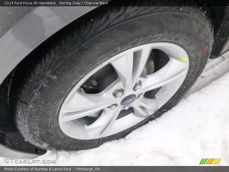 Sterling Gray / Charcoal Black 2014 Ford Focus SE Hatchback