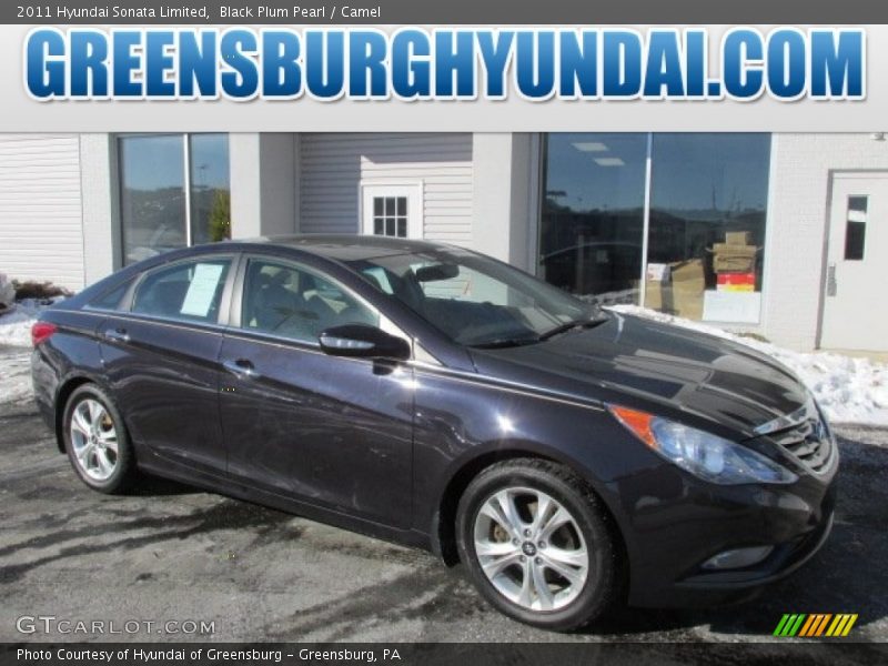 Black Plum Pearl / Camel 2011 Hyundai Sonata Limited