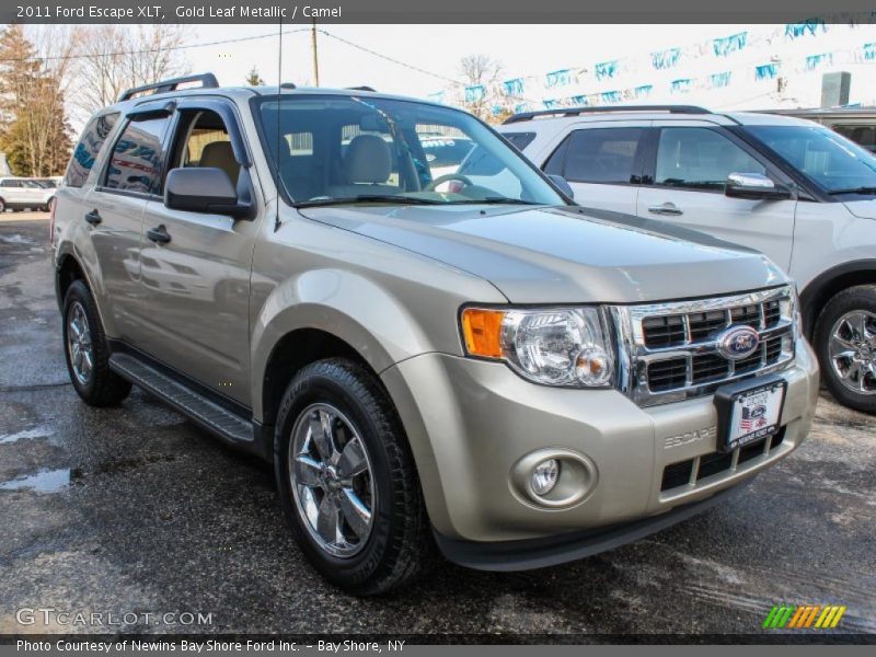 Gold Leaf Metallic / Camel 2011 Ford Escape XLT