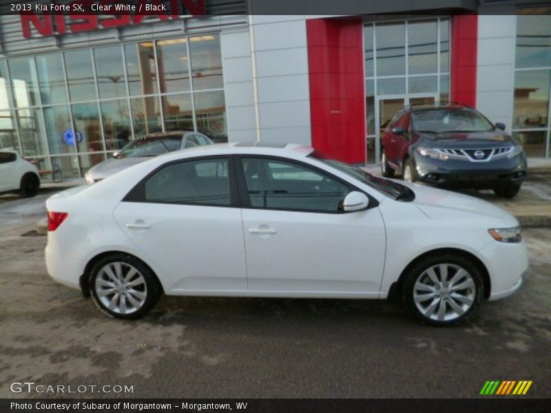 Clear White / Black 2013 Kia Forte SX