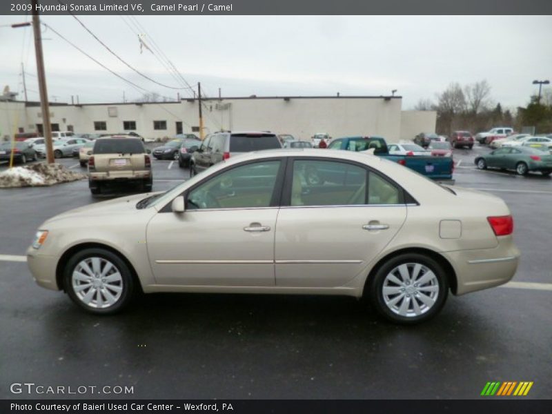 Camel Pearl / Camel 2009 Hyundai Sonata Limited V6