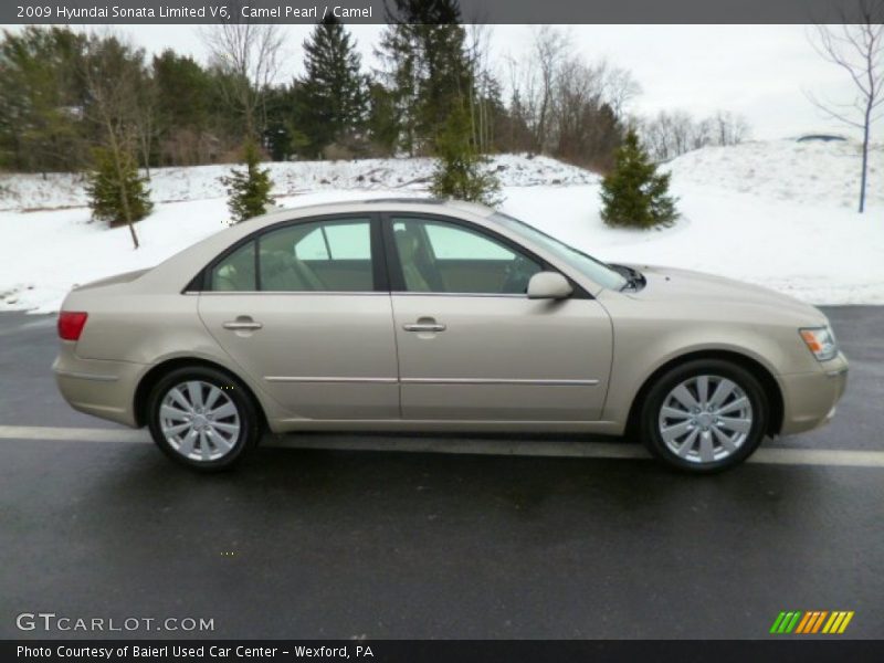 Camel Pearl / Camel 2009 Hyundai Sonata Limited V6