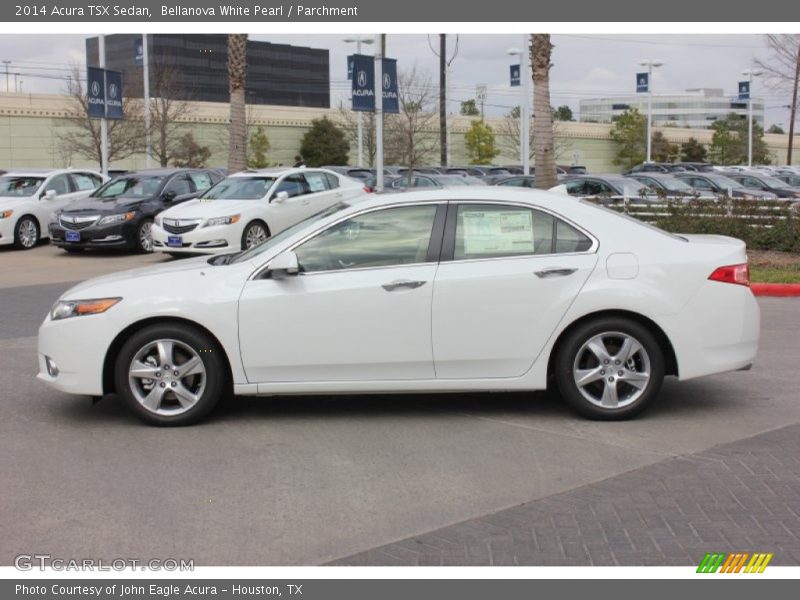 Bellanova White Pearl / Parchment 2014 Acura TSX Sedan