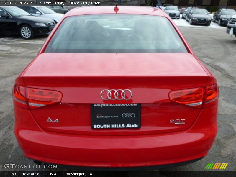 Brilliant Red / Black 2013 Audi A4 2.0T quattro Sedan