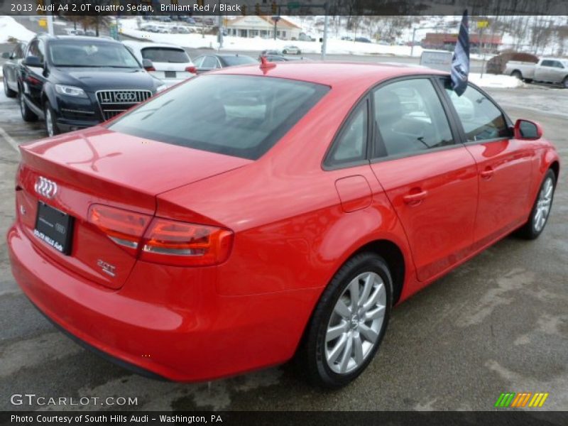 Brilliant Red / Black 2013 Audi A4 2.0T quattro Sedan
