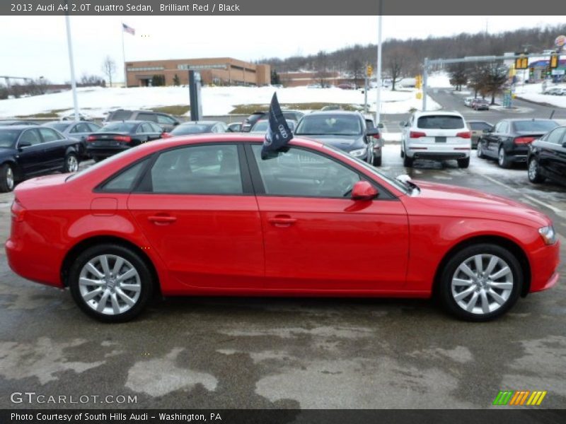 Brilliant Red / Black 2013 Audi A4 2.0T quattro Sedan