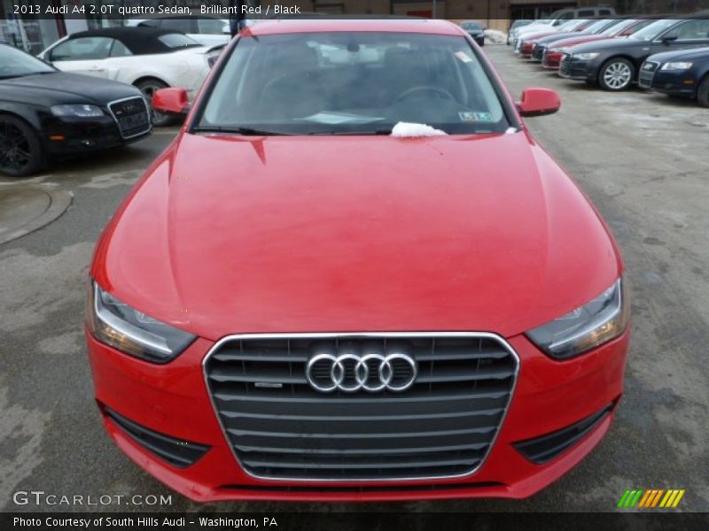 Brilliant Red / Black 2013 Audi A4 2.0T quattro Sedan