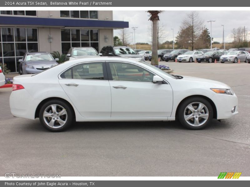 Bellanova White Pearl / Parchment 2014 Acura TSX Sedan