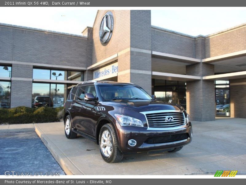 Dark Currant / Wheat 2011 Infiniti QX 56 4WD