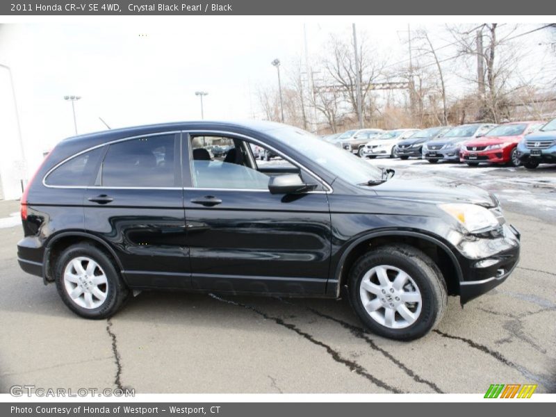Crystal Black Pearl / Black 2011 Honda CR-V SE 4WD
