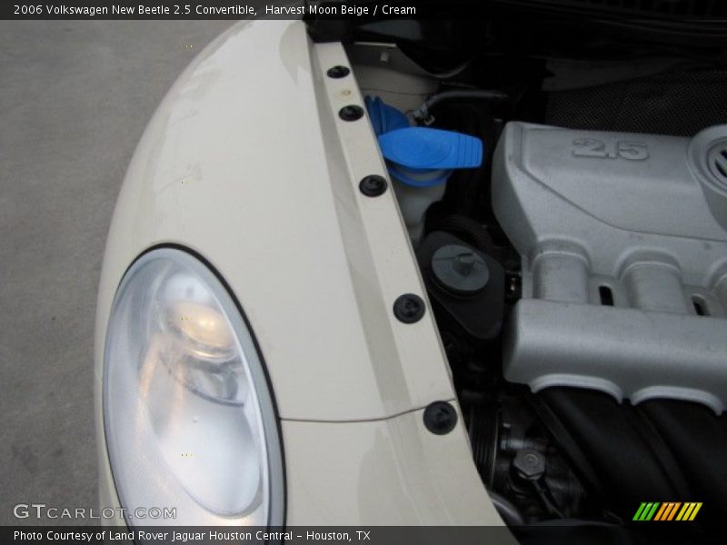 Harvest Moon Beige / Cream 2006 Volkswagen New Beetle 2.5 Convertible