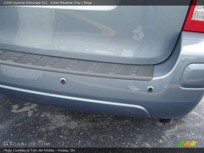 Green Meadow Gray / Beige 2008 Hyundai Entourage GLS