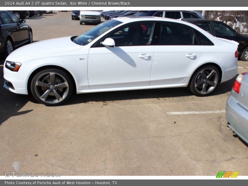 Ibis White / Chestnut Brown/Black 2014 Audi A4 2.0T quattro Sedan