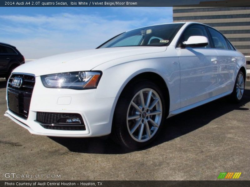 Ibis White / Velvet Beige/Moor Brown 2014 Audi A4 2.0T quattro Sedan