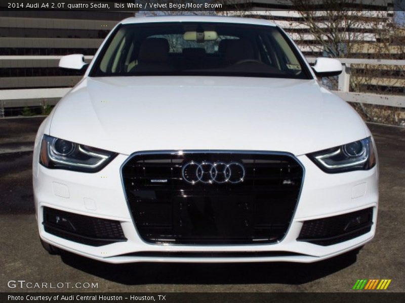 Ibis White / Velvet Beige/Moor Brown 2014 Audi A4 2.0T quattro Sedan