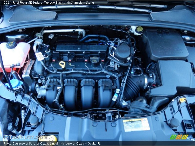 Tuxedo Black / Medium Light Stone 2014 Ford Focus SE Sedan