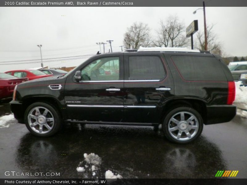 Black Raven / Cashmere/Cocoa 2010 Cadillac Escalade Premium AWD