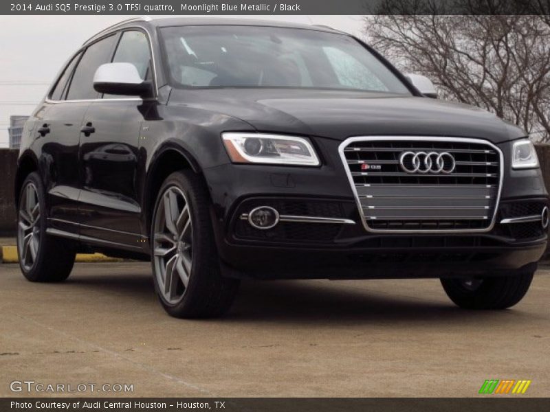 Moonlight Blue Metallic / Black 2014 Audi SQ5 Prestige 3.0 TFSI quattro