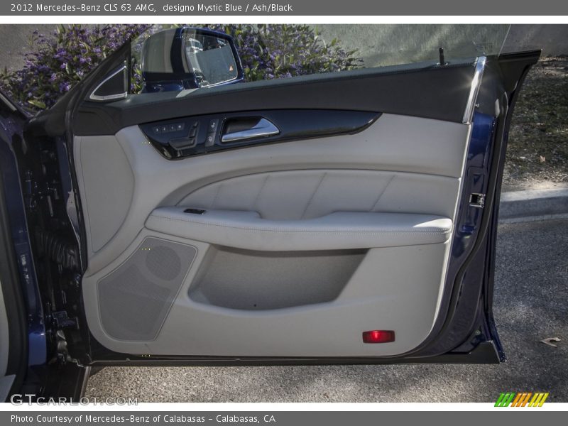 Door Panel of 2012 CLS 63 AMG