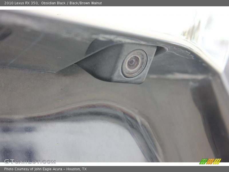 Obsidian Black / Black/Brown Walnut 2010 Lexus RX 350