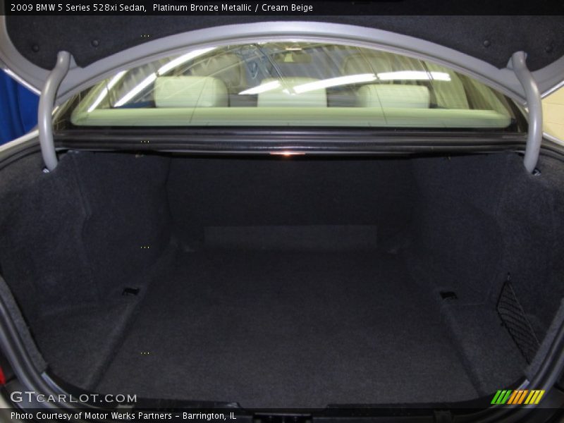 Platinum Bronze Metallic / Cream Beige 2009 BMW 5 Series 528xi Sedan