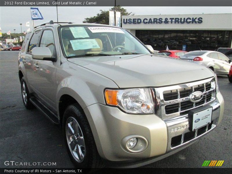 Gold Leaf Metallic / Camel 2012 Ford Escape Limited