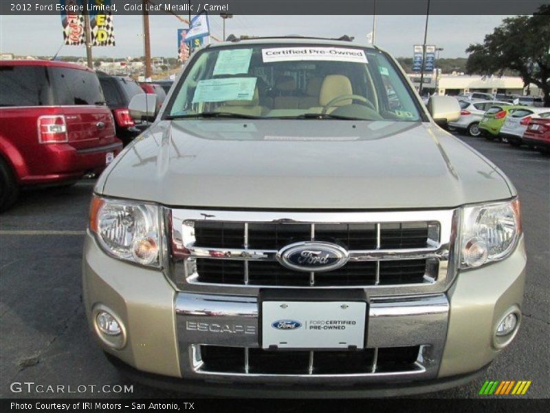 Gold Leaf Metallic / Camel 2012 Ford Escape Limited