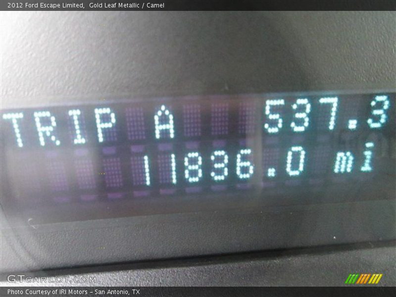 Gold Leaf Metallic / Camel 2012 Ford Escape Limited