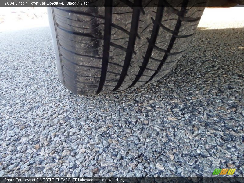 Black / Black 2004 Lincoln Town Car Executive