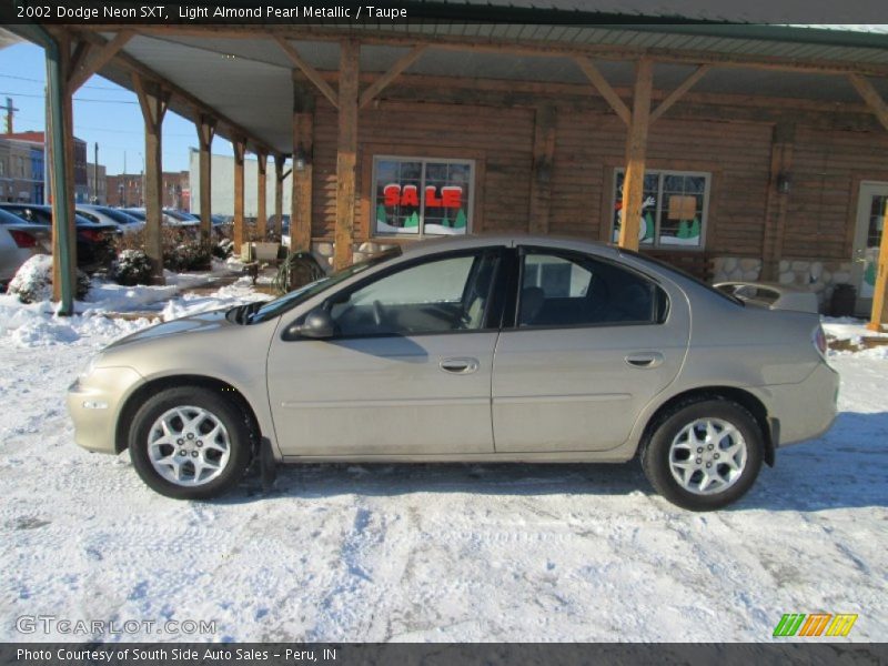 Light Almond Pearl Metallic / Taupe 2002 Dodge Neon SXT