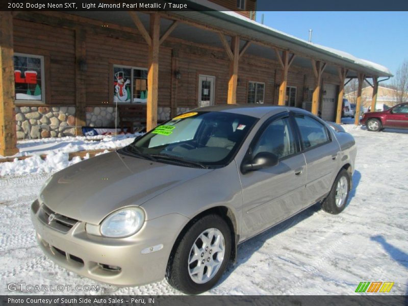 Light Almond Pearl Metallic / Taupe 2002 Dodge Neon SXT