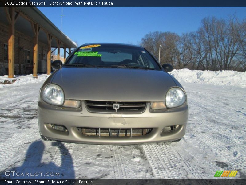 Light Almond Pearl Metallic / Taupe 2002 Dodge Neon SXT