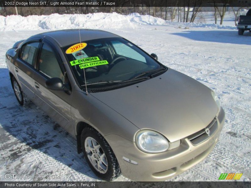 Light Almond Pearl Metallic / Taupe 2002 Dodge Neon SXT
